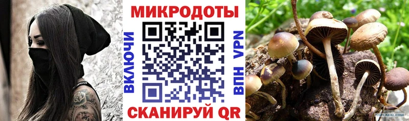 Псилоцибиновые грибы MAGIC MUSHROOMS  МЕГА   Брянск  сколько стоит 